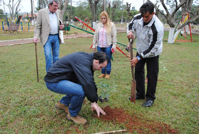 reforestacion1